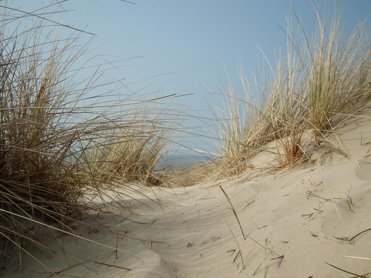 Hollumerstrand Hollum  Zewnętrze zdjęcie